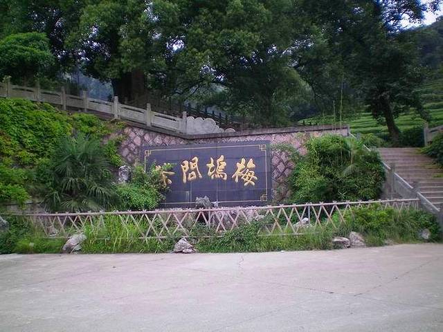 梅家坞茶文化村