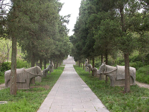 浮泥国王墓 0%去过南京的驴友来过这里 南京景点排名第139 位于