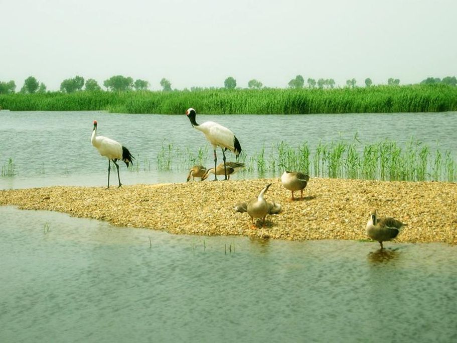 松花坝自然保护区