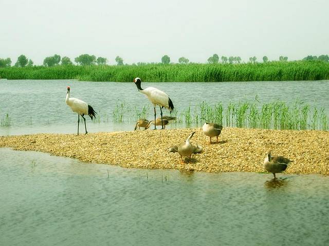 松华坝自然保护区