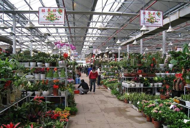 苏州市皮市街花鸟工艺品市场