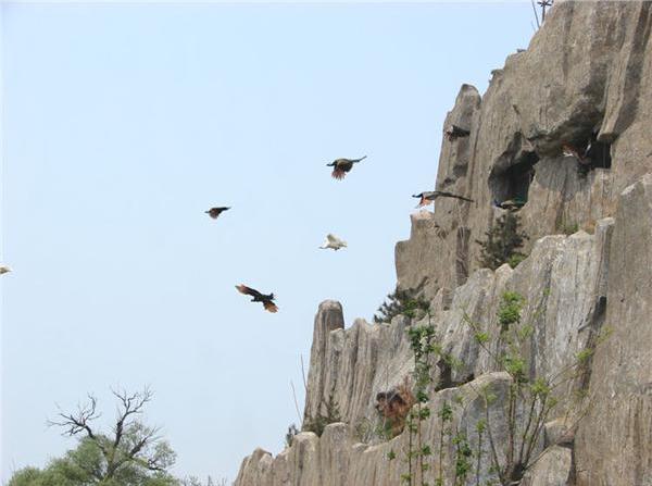 大连金龙寺国家森林公园
