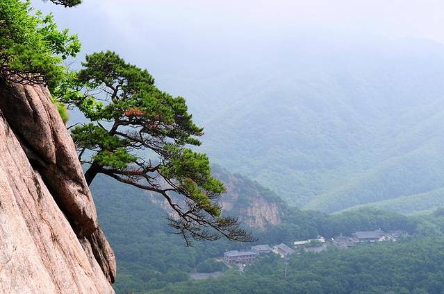 凤凰山科普生态公园