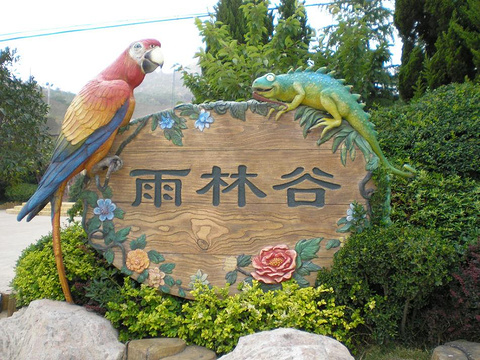 青岛雨林谷