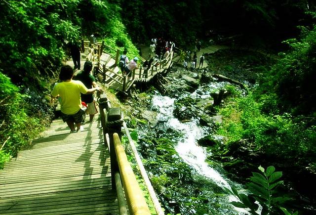 凤凰山科普生态公园