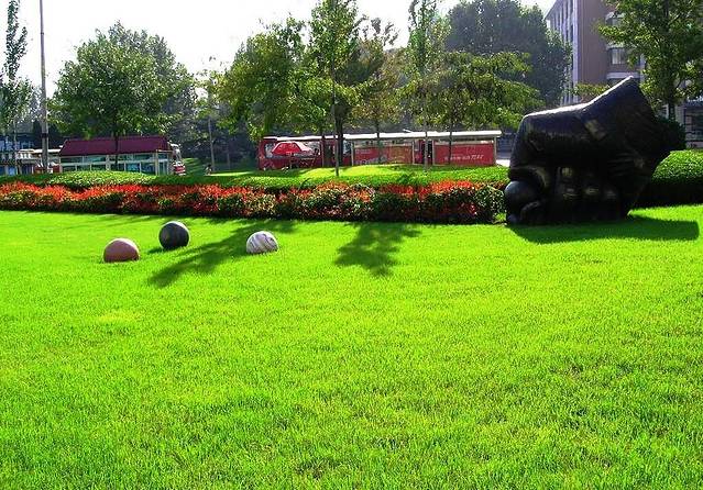 希望广场(中山路)