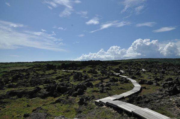 龙坑生态保护区