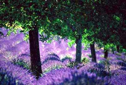 Namadgi National Park