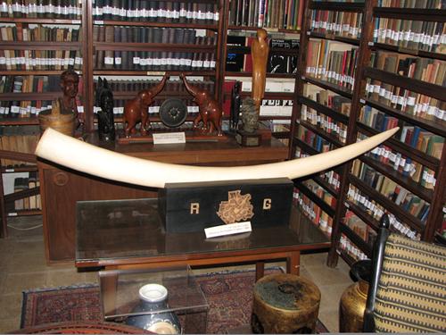 本-古里安博物馆