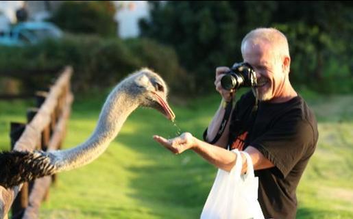 开普角鸵鸟农场