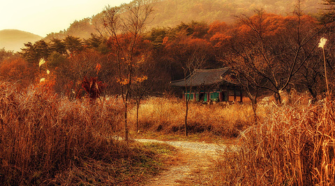 朝鲜旅游景点图片