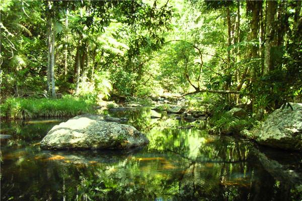 黄金海岸春溪国家公园