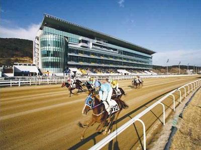 釜山庆南赛马公园