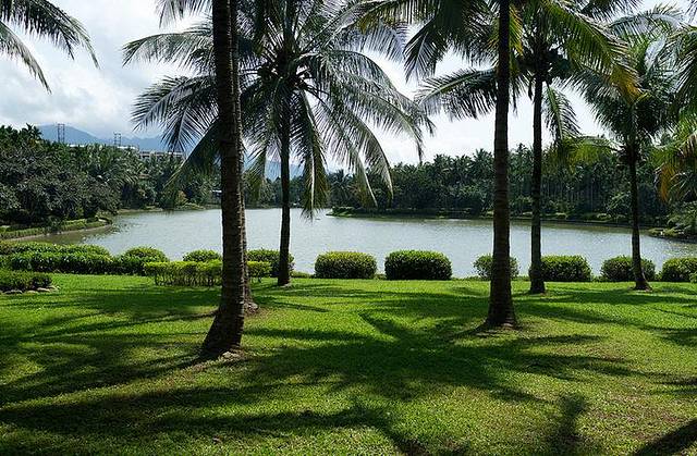 兴隆热带植物园