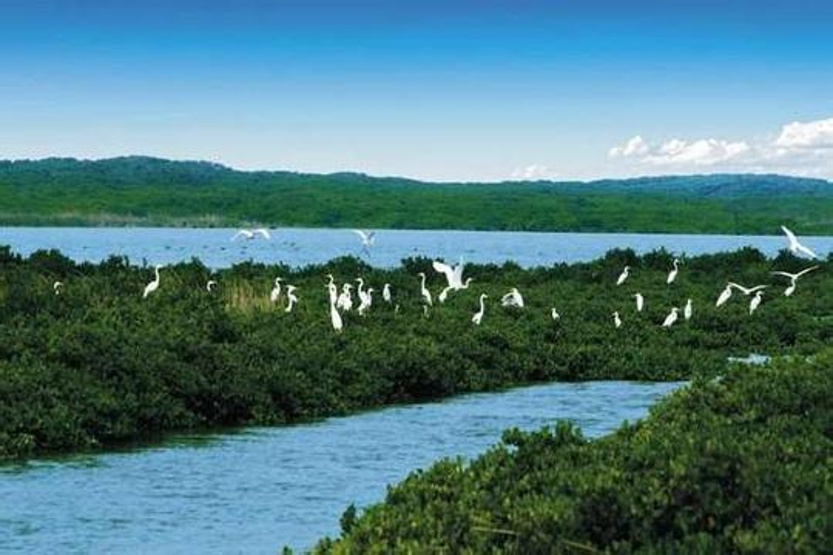 深圳精华游攻略