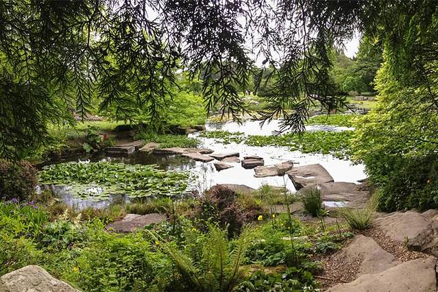 剑桥大学植物园