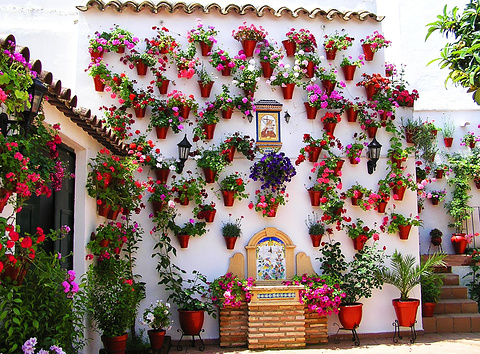 Patio Cordobes