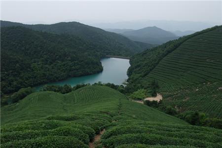 东钱湖福泉山景区