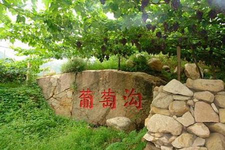 昌黎葡萄沟风景区