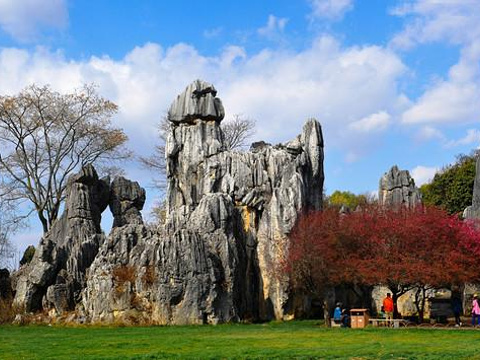 2024龙马石林-旅游攻略-门票-地址-问答-游记点评,罗平旅游旅游景点