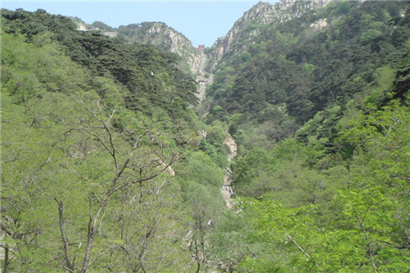 烟台,泰安,威海7日游