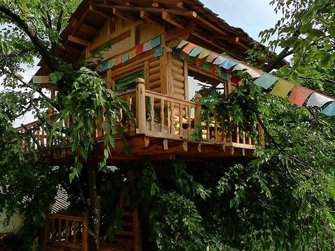 鼎雅家树屋客栈