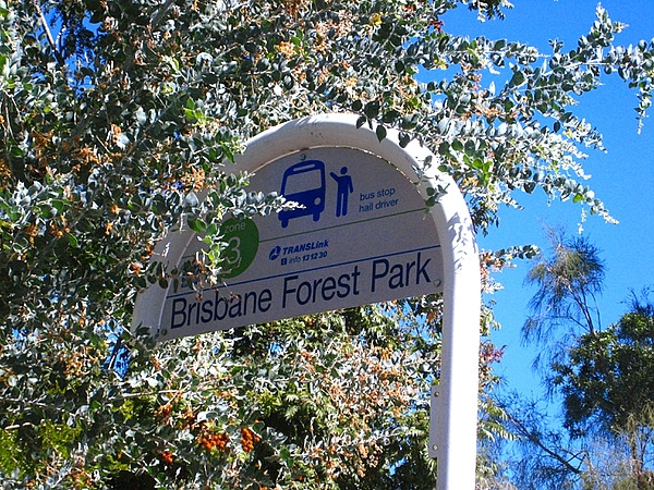 布里斯班森林公园