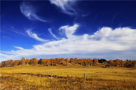 桦木沟国家森林公园