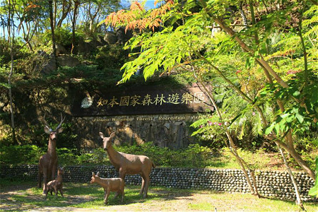 台东知本森林游乐区
