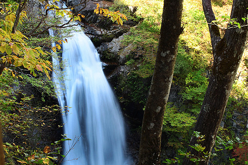 秋保大瀑布