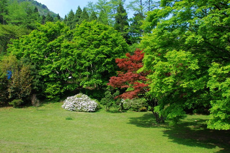 庐山植物园