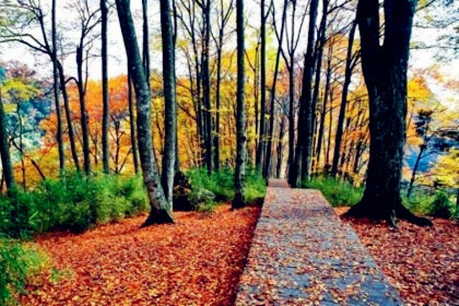 腊山国家森林公园