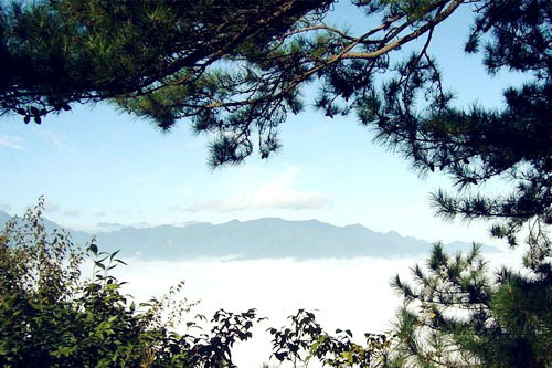 延安国家森林公园