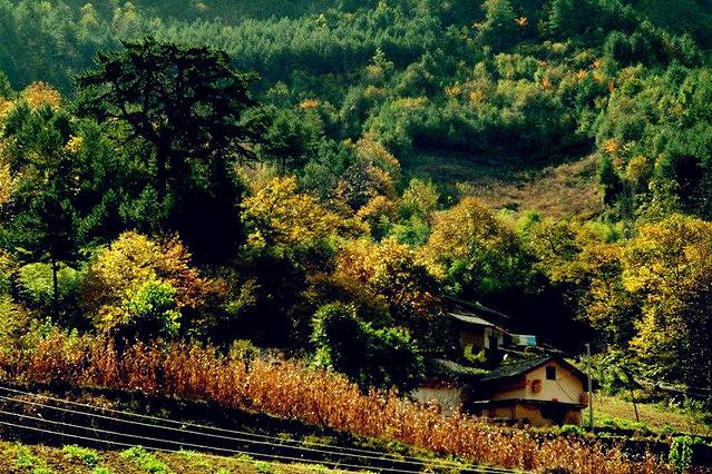 延安国家森林公园