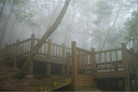 东眼山森林游乐区