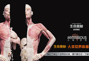 人体世界科普展览第 13 张图片
