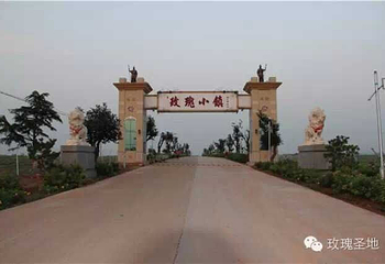 玫瑰小镇生态旅游观光园第 27 张图片