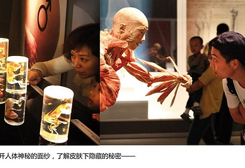 人体世界科普展览第 6 张图片
