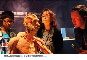 人体世界科普展览第 7 张图片