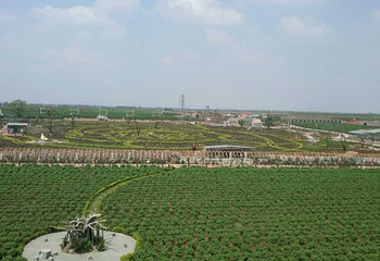 玫瑰小镇生态旅游观光园第 7 张图片