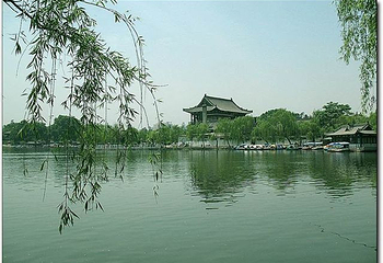 兴庆宫公园第 3 张图片