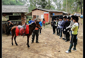 南宁绿野马场第 12 张图片
