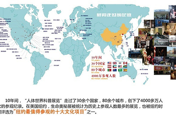 人体世界科普展览第 10 张图片