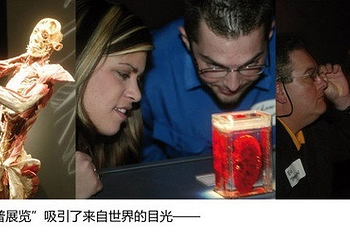 人体世界科普展览第 9 张图片