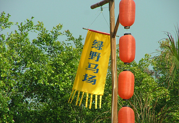 南宁绿野马场第 8 张图片