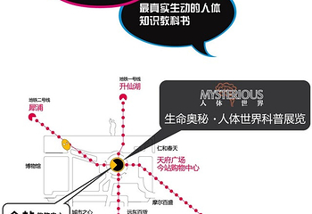人体世界科普展览第 11 张图片
