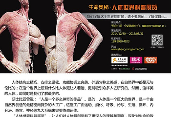 人体世界科普展览第 12 张图片