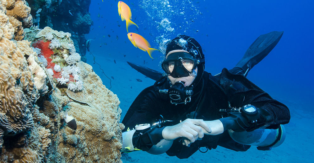 梦幻海洋潜水世界休闲潜水 咬嘴 泳衣(成人票)