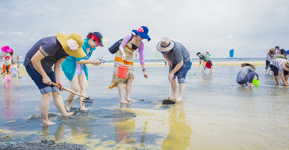 北海金海湾红树林生态旅游区(1大1小)含观光车