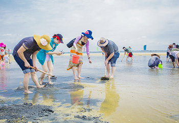 北海金海湾红树林生态旅游区第 19 张图片